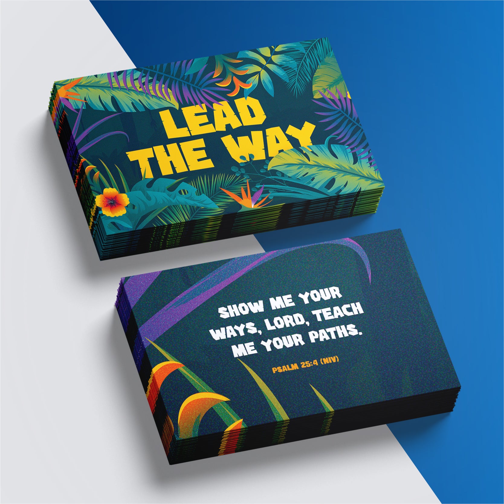 Lead The Way Memory Card Pack