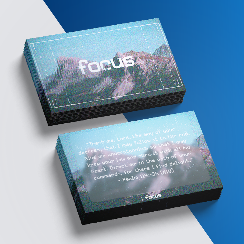 Focus Memory Card Pack