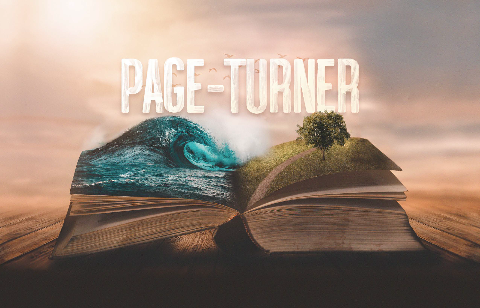 Page Turner Posters