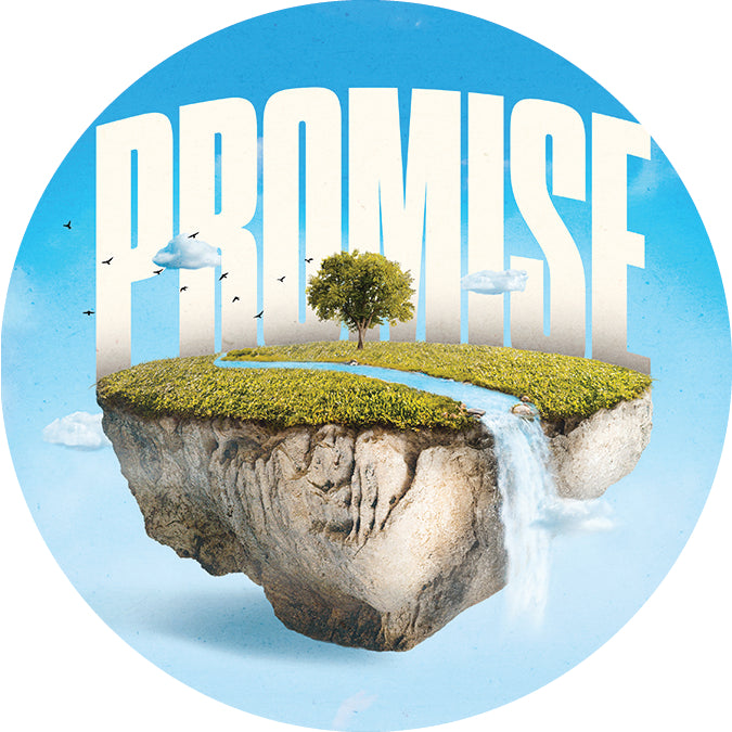 Promise Stickers