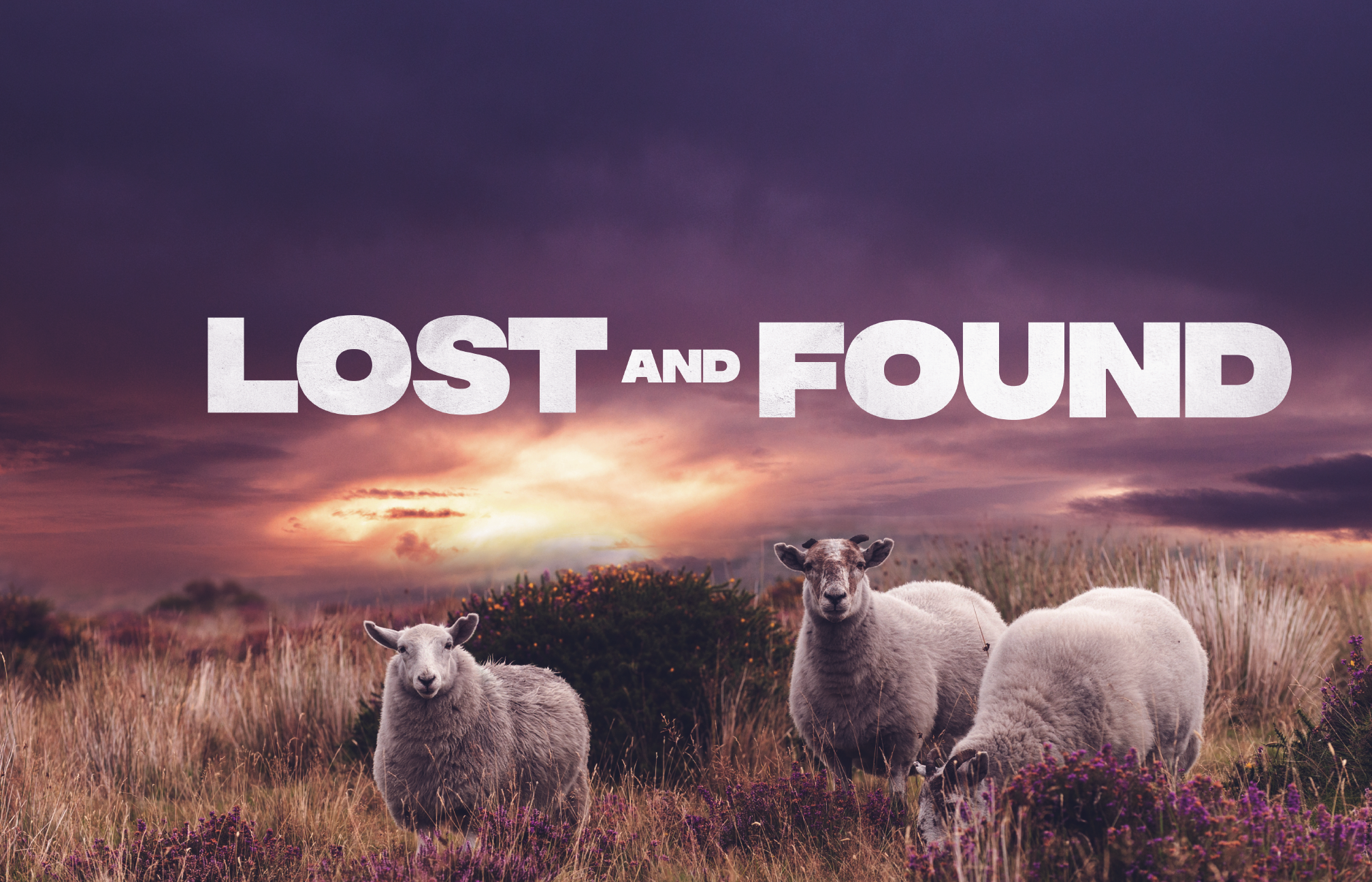 Lost and Found Poster